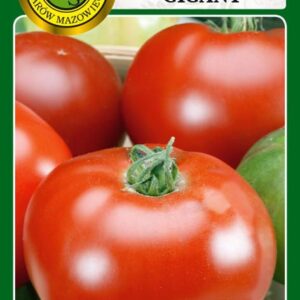 Pomidor GIGANT odmiana średnio późna