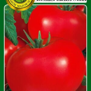 Pomidor RUMBA OŻAROWSKA karłowy wczesny tolerancja na ZZ