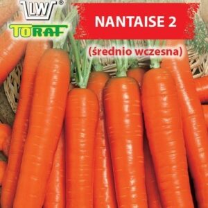 Marchew Nantaise 2 średnio wczesna