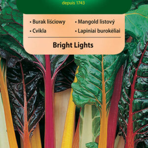 Burak liściowy Bright lights mix kolorów