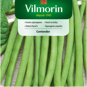 Fasola Contender zielona, szparagowa, karłowa