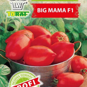 Pomidor szklarniowy BIG MAMA bardzo duży mięsisty podłużny