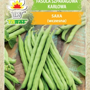 Fasola szparagowa SAXA karłowa zielonostrąkowa wczesna