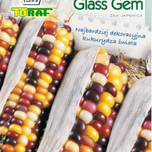 Kukurydza ozdobna Glass Gem