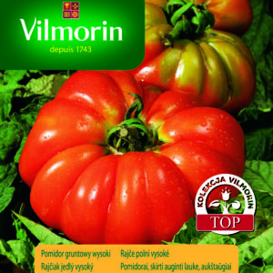 Pomidor DELIZIA gruntowy wysoki lekko żebrowany