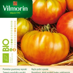 Pomidor PANTANO ROMANESCO BIO gruntowy wysoki bardzo plenny