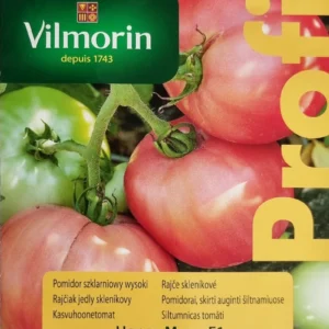 Pomidor HONEY MOON szklarniowy malinowy