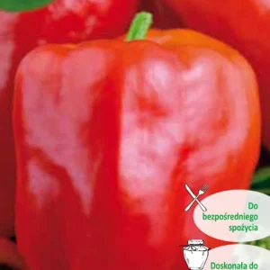 Papryka ROBERTA czerwona o grubym miąższu do gruntu i pod osłony