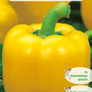 Papryka słodka Marta Polka żółta, wczesna, gruby miąższ