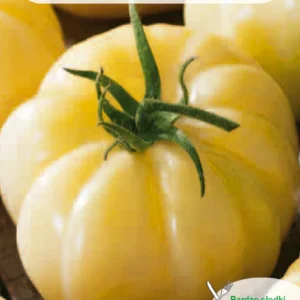 Pomidor White Beauty gruntowy wysoki biały kremowy