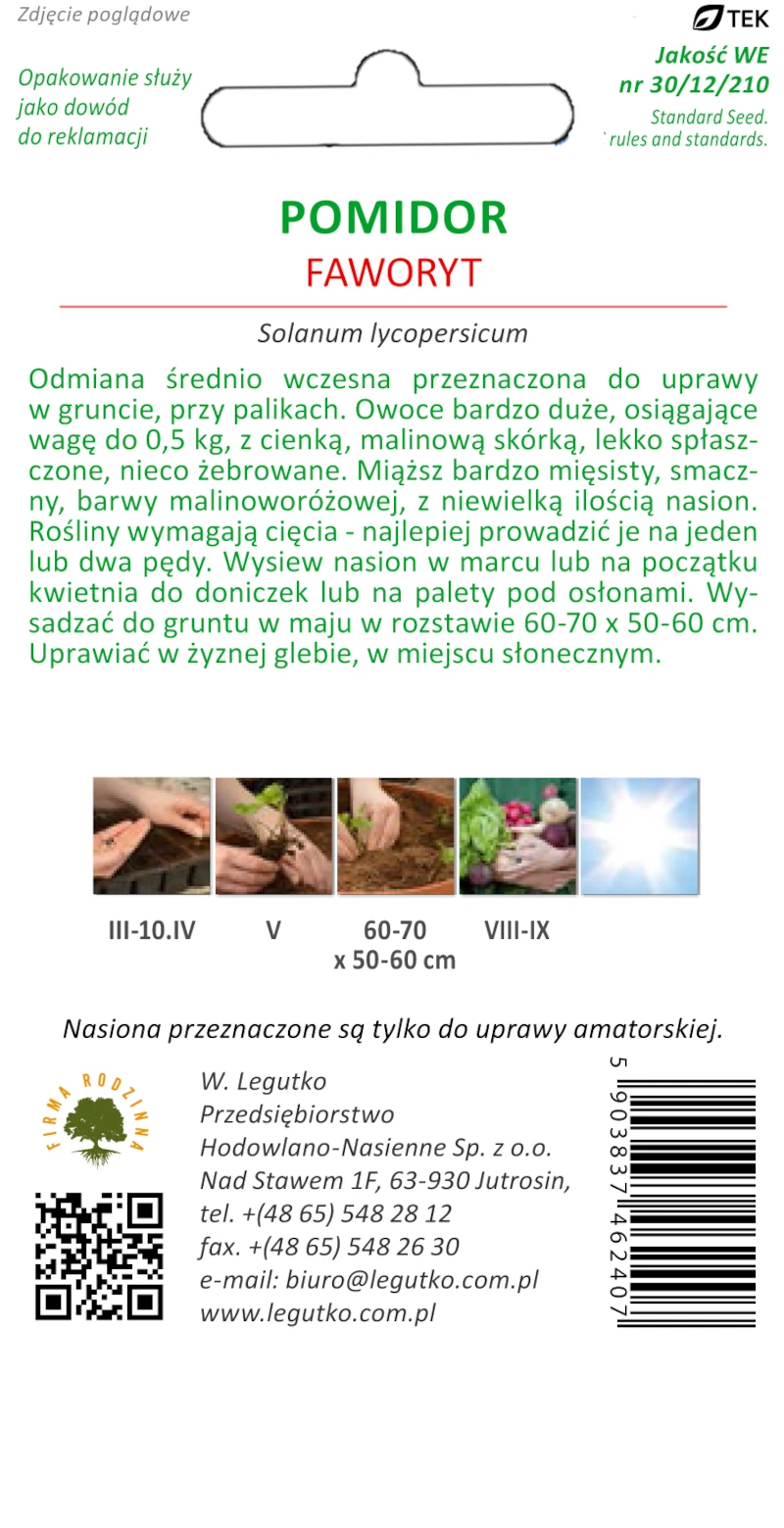 Pomidor FAWORYT gruntowy - obrazek 2