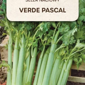 Seler naciowy VERDE PASCAL