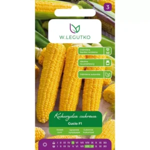 Kukurydza cukrowa GUCIO super słodka