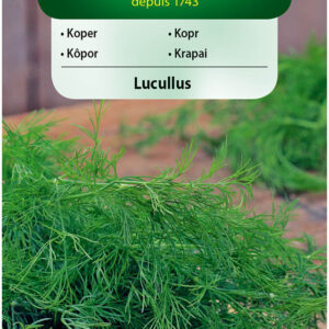 Koper LUCULLUS bardzo aromatyczny