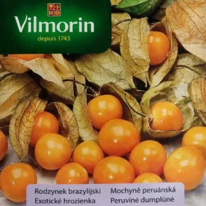 Rodzynek brazylijski michunka peruwiańska