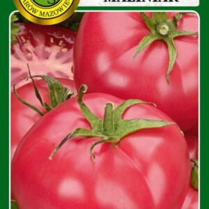 Pomidor MALINIAK gruntowy karłowy, intensywny smak
