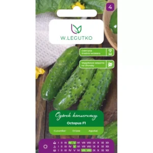 Ogórek OCTOPUS odporny na choroby konserwowy